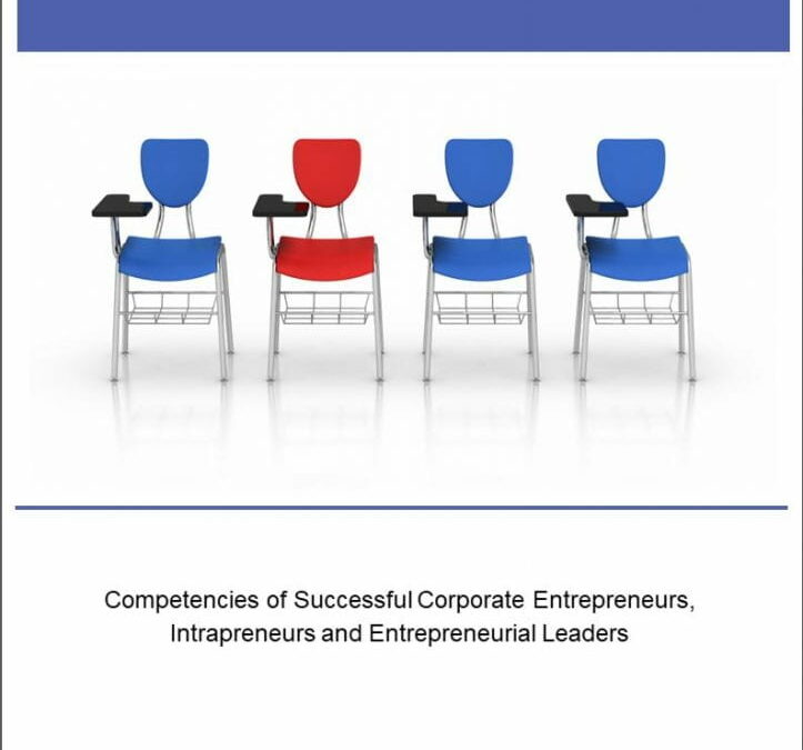 Corporate Entrepreneur Profile Brochure (en anglais)