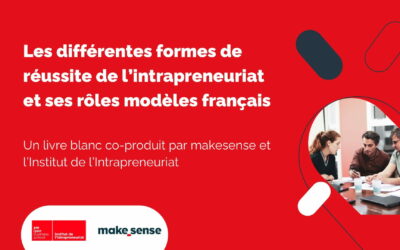 LIVRE BLANC –  Les différentes formes de réussite de l’intrapreneuriat et ses rôles modèles français