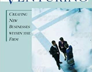 Corporate venturing: creating new businesses within the firm.